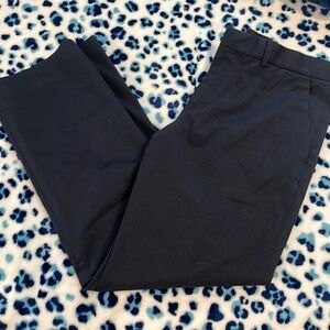 Navy blue express, photographer, dress pants